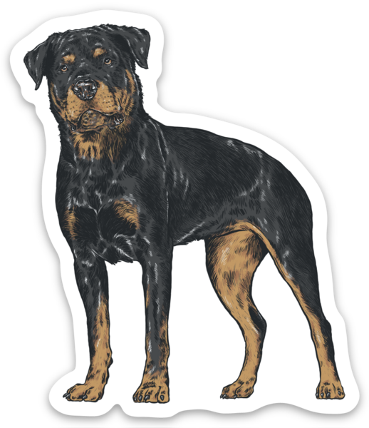 Die cut stickers