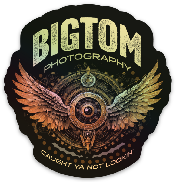 Hologram stickers