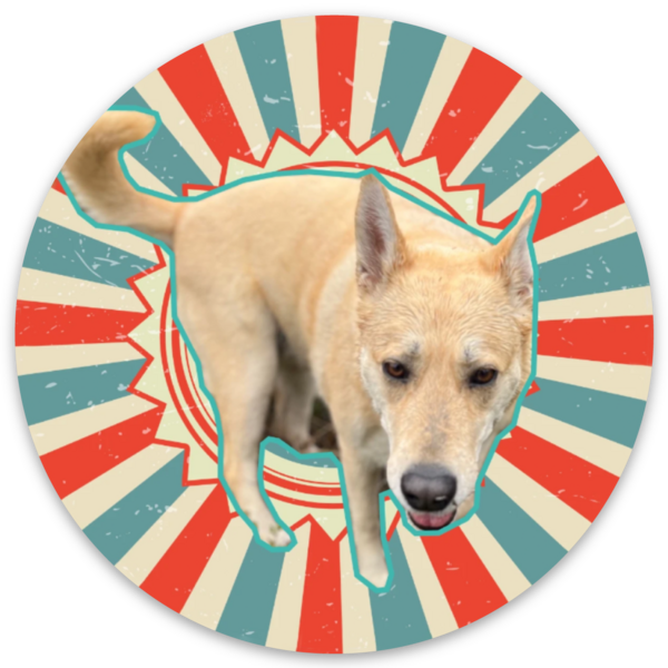 Fabric stickers