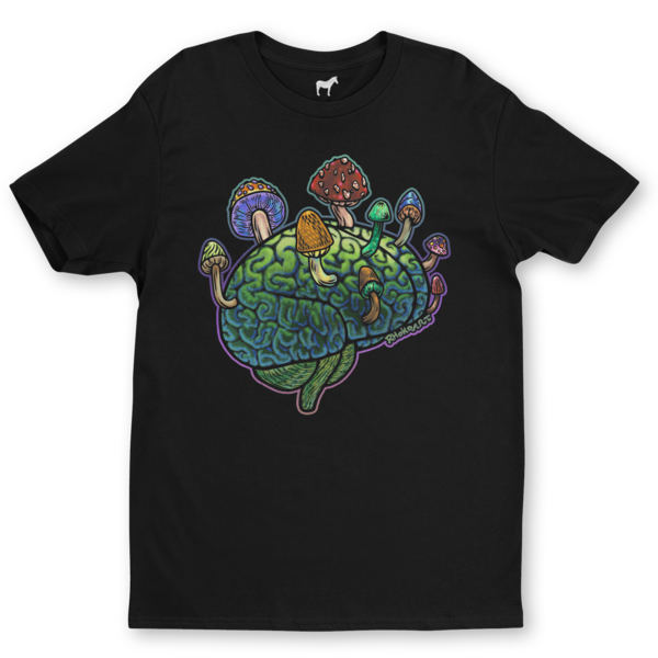 Playeras