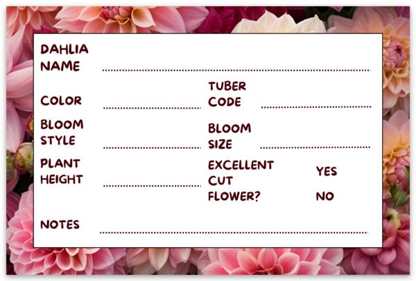 Rectangle sheet labels