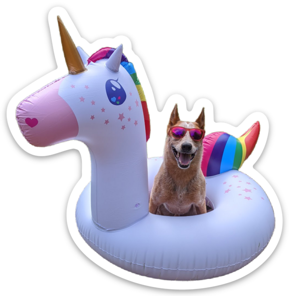 Die cut stickers