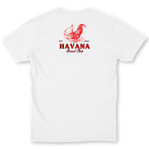 T-shirts - Back