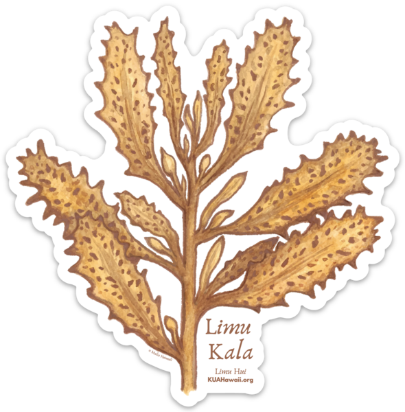 Die cut stickers