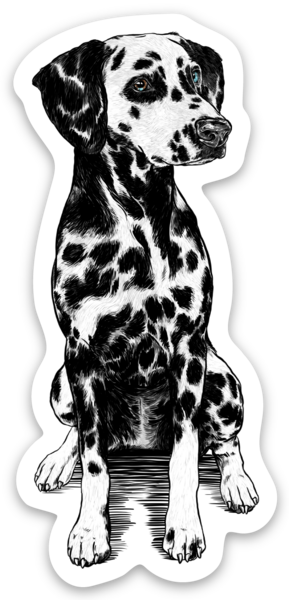 Die cut stickers