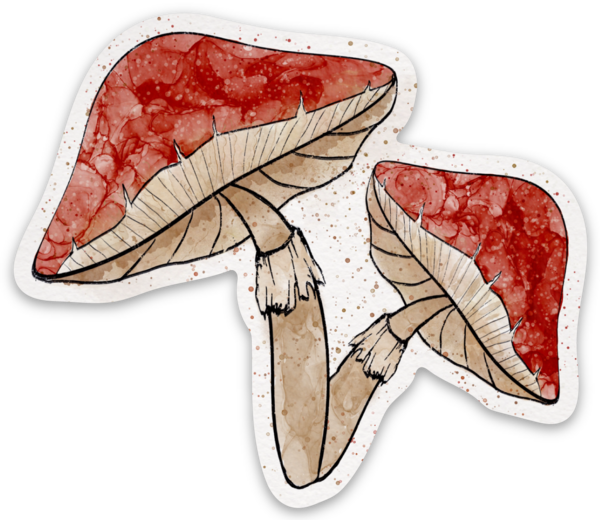 Die cut stickers