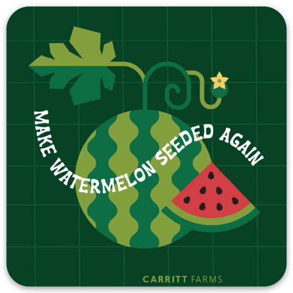 Paquetes de stickers - 2