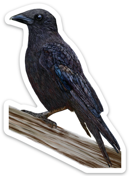 Sticker packs - 7