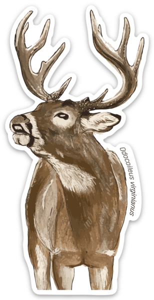 Die cut stickers