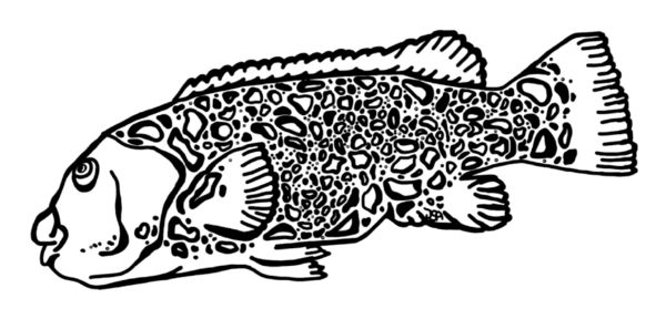 Tatuagens temporárias