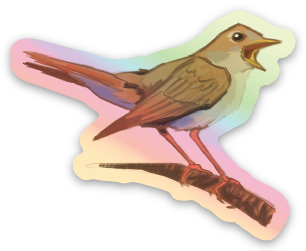 Holographic stickers