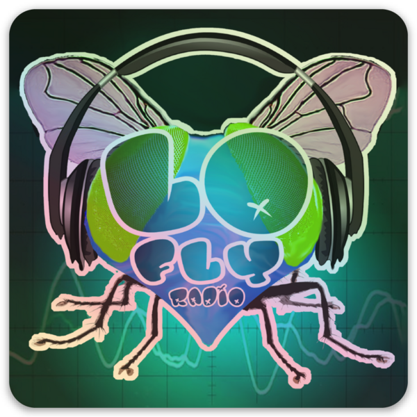 Holografische Sticker