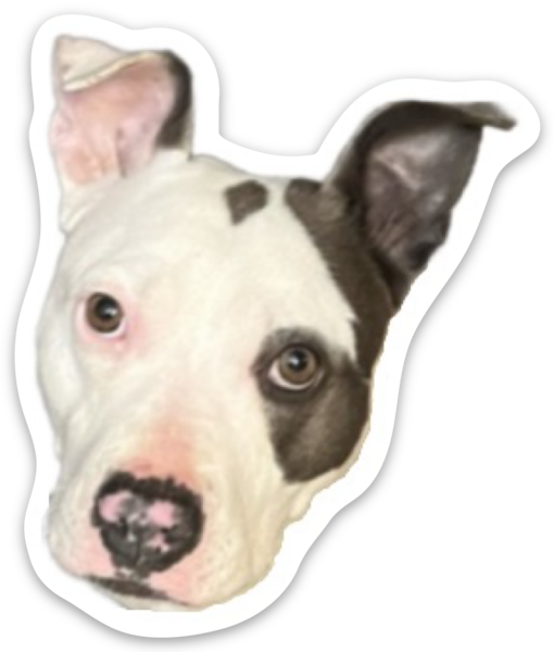 Stickers découpés à la forme