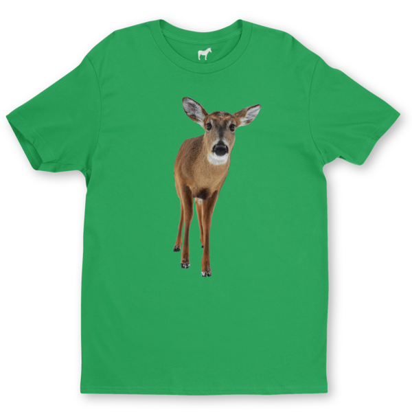 Playeras