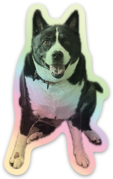Holographic stickers