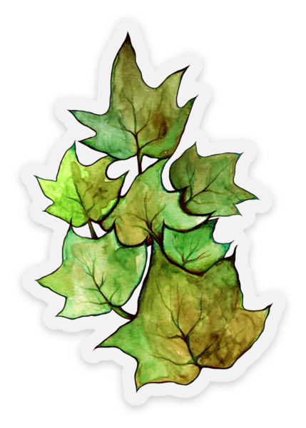 Pegatinas transparentes