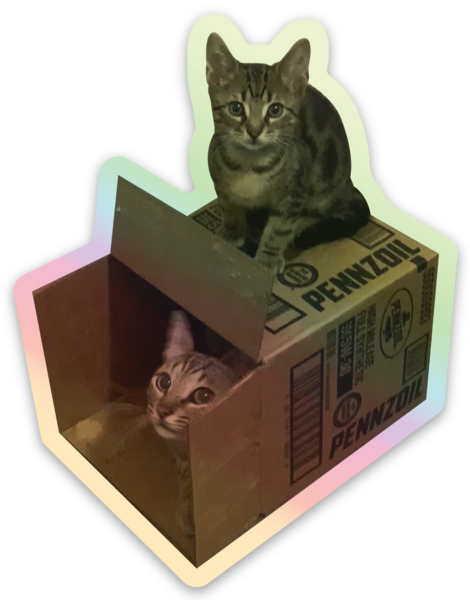Stickers holographique