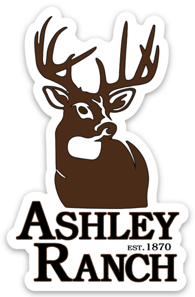 Die cut stickers