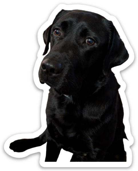 Uitgesneden stickers
