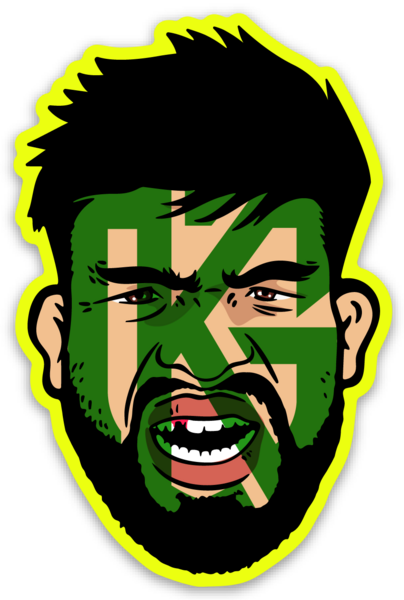 Die cut stickers
