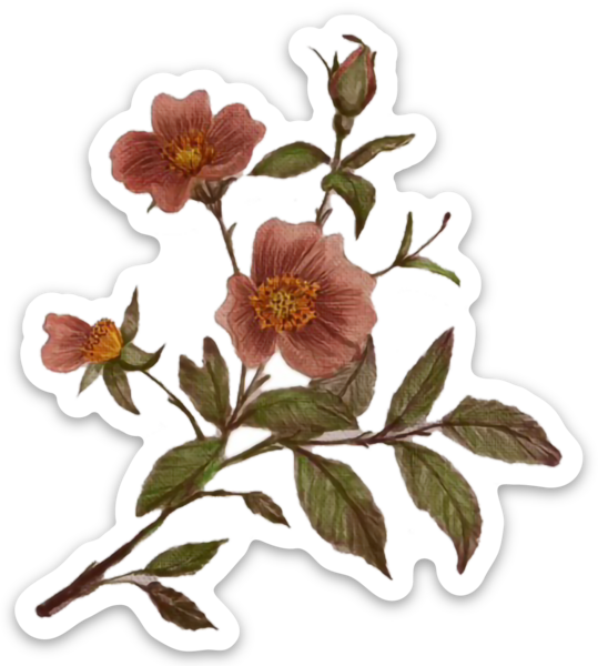 Die cut stickers