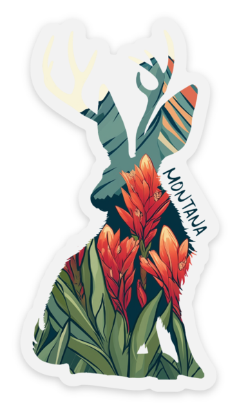 Stickers transparents