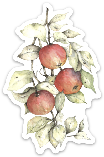 Die cut stickers