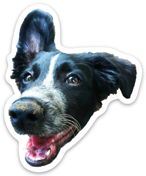 Die cut stickers