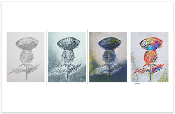 Posters