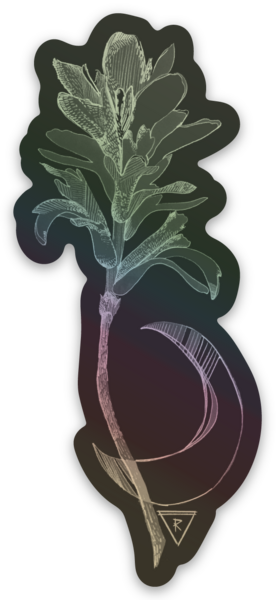 Hologram stickers