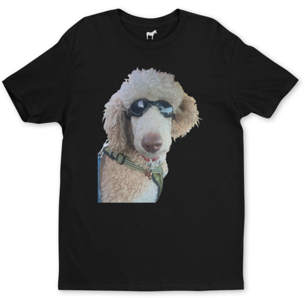Camisetas