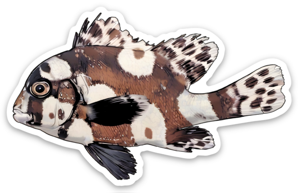 Die cut stickers