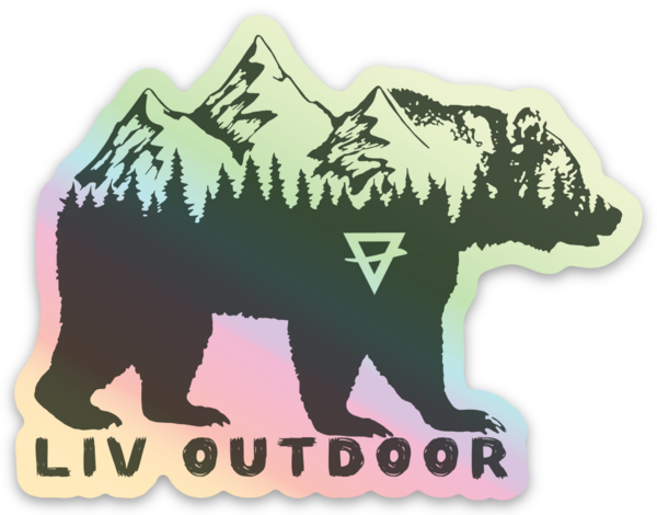 Holographic stickers