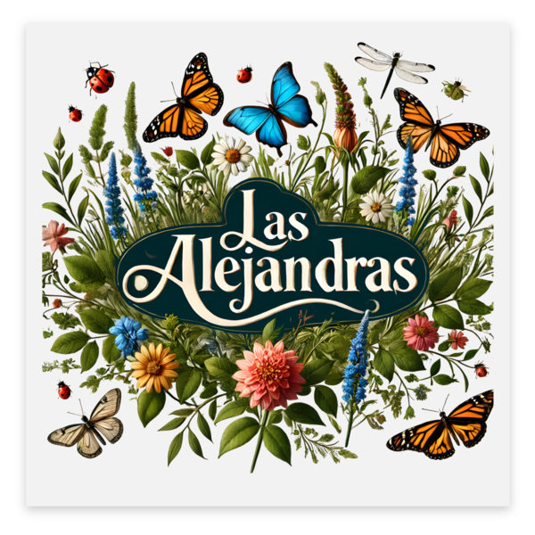 Autocolantes transparentes