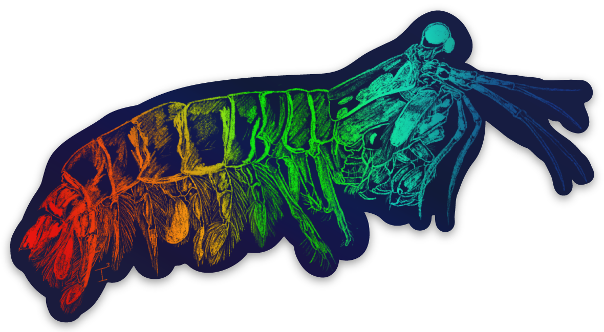 Stickers holographique