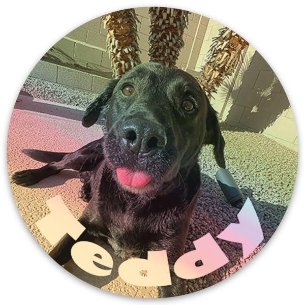 Holographic stickers