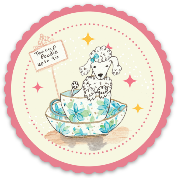 Sticker packs - 5