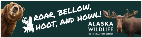 Bumperstickers