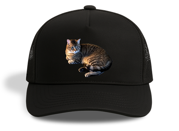 Gepersonaliseerde petten