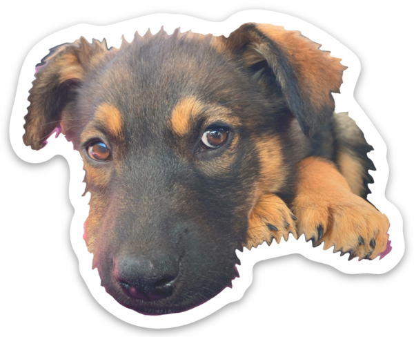 Die cut stickers
