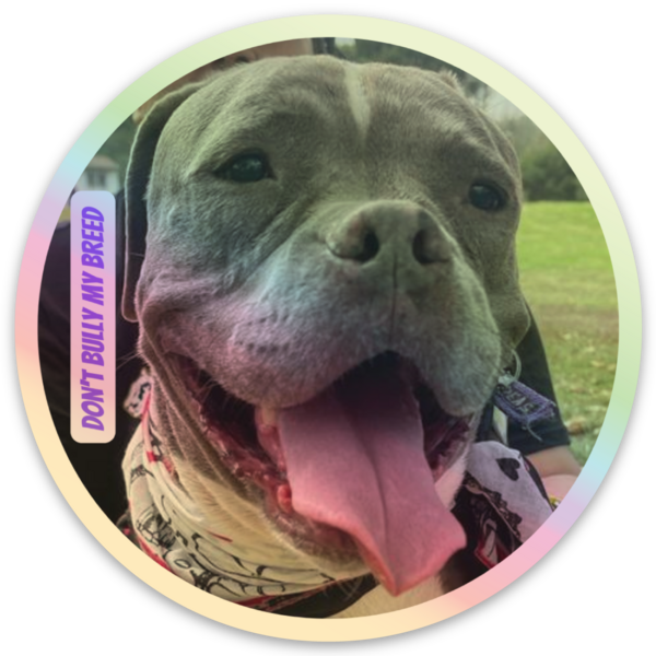 Stickers holográficos