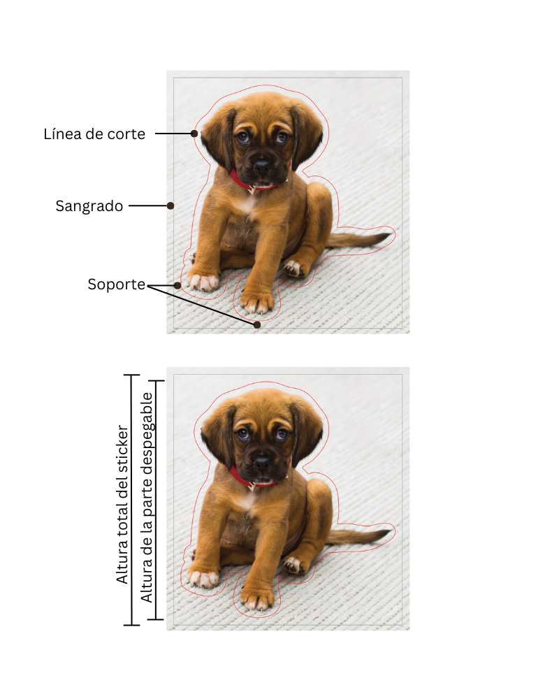 imagen de un cachorro que muestra el reverso del sticker, la línea de corte y el sangrado. Imagen del cachorro que muestra la altura del sticker despegable frente a la altura total del sticker.