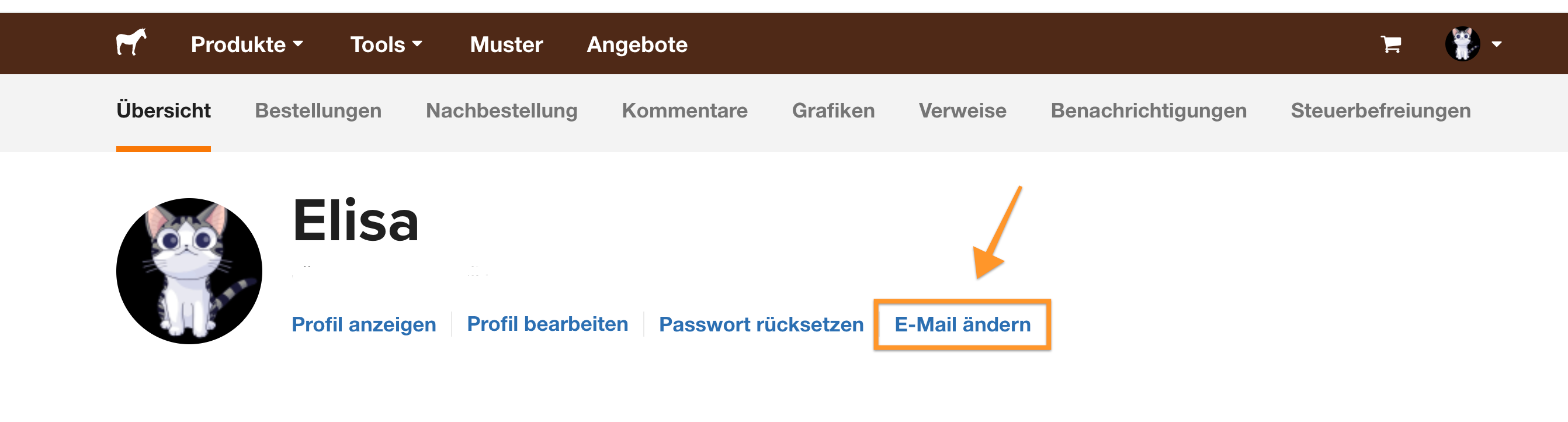 Screenshot der Seite, auf der Sie Ihre E-Mail-Adresse ändern können