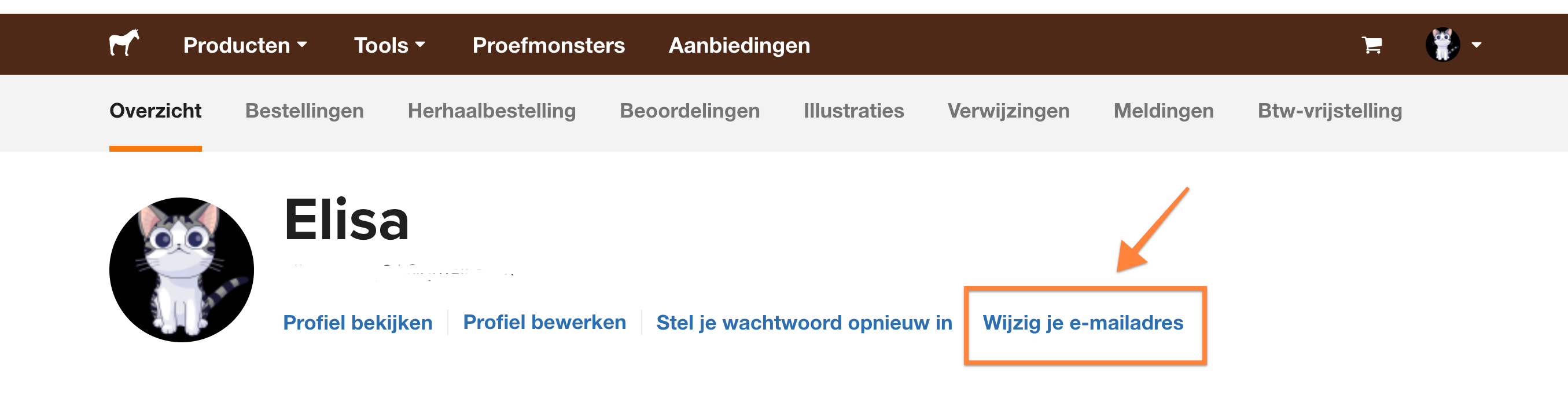 screenshot waarop je kunt zien hoe je je e-mailadres kunt wijzigen