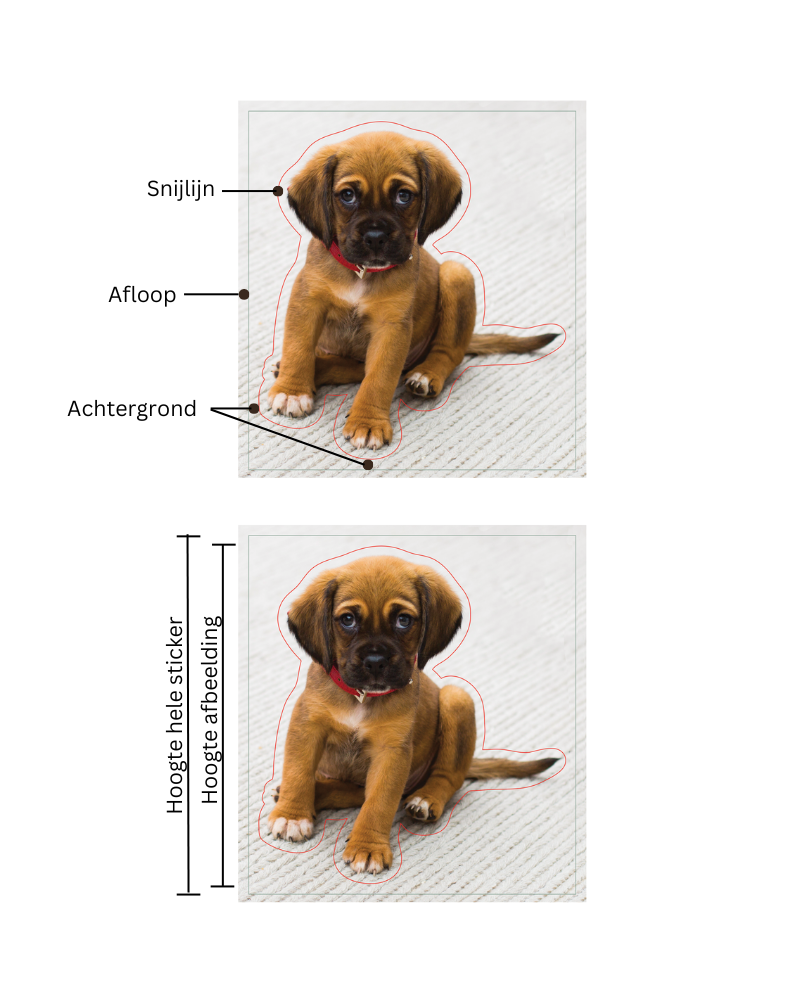 Afbeelding van een puppy waarop je de achterkant, rand en breeklijn van een sticker kunt zien. Afbeelding van een puppy waarop je de grootte van een sticker met papieren achterzijde en de grootte van de hele sticker kunt zien.