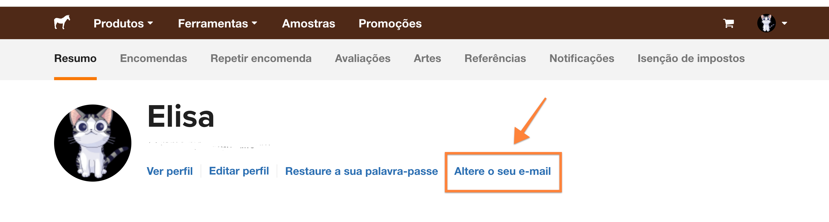 screenshot de onde pode alterar o e-mail