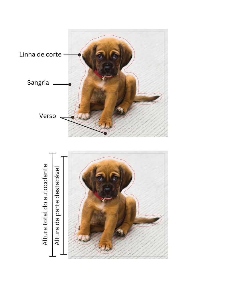 imagem de um cachorro a mostrar o verso do autocolante, a linha de corte e a margem de sangria. Imagem de um cachorro a mostrar a altura do autocolante destacável versus a altura total do autocolante.