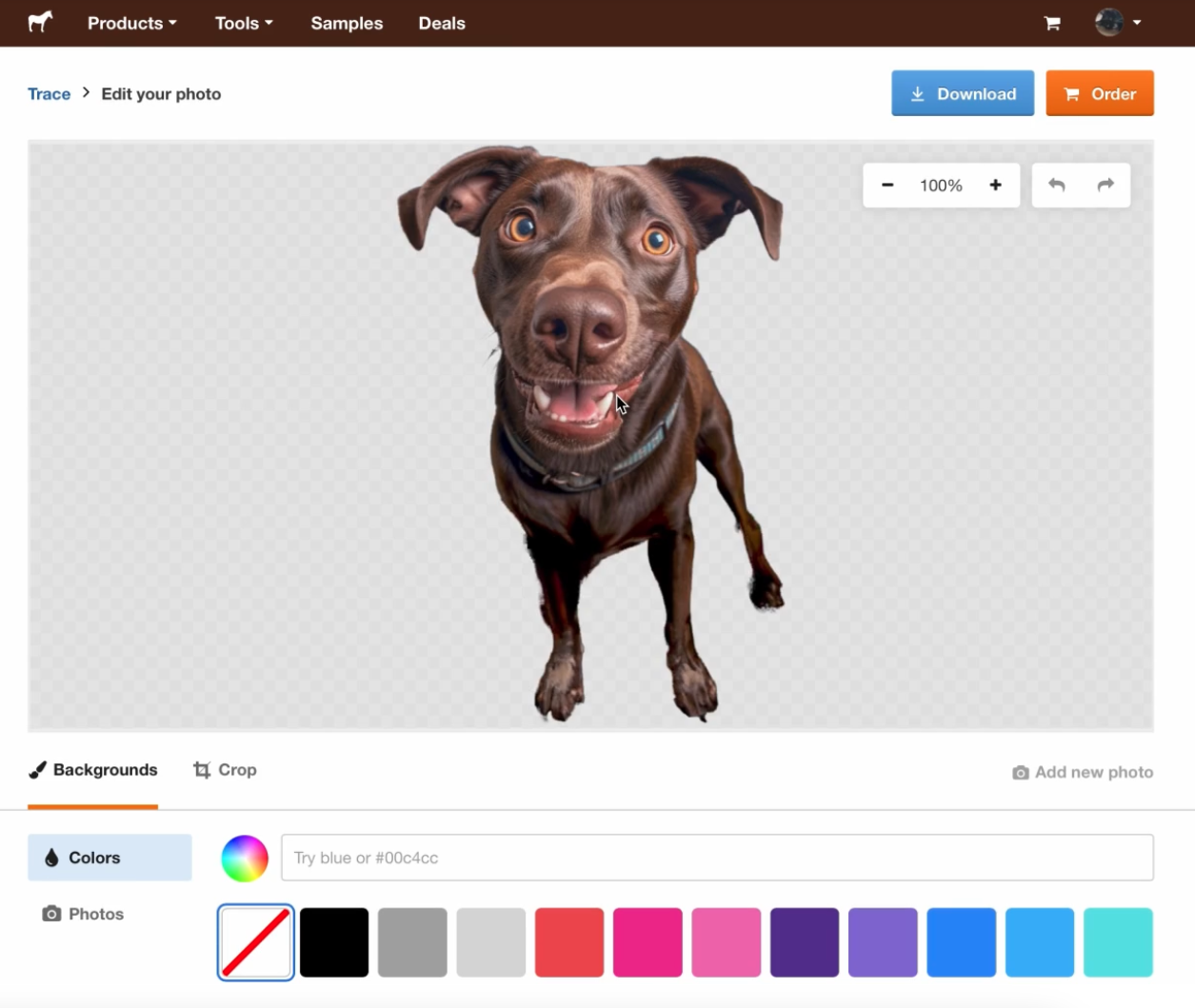 trace removed background from dog photo