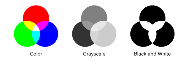 Color Trace Feature How to use Image Trace in Adobe Illustrator | Sticker Mule