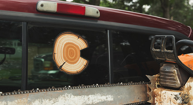 Calcomanías para ventanas de autos